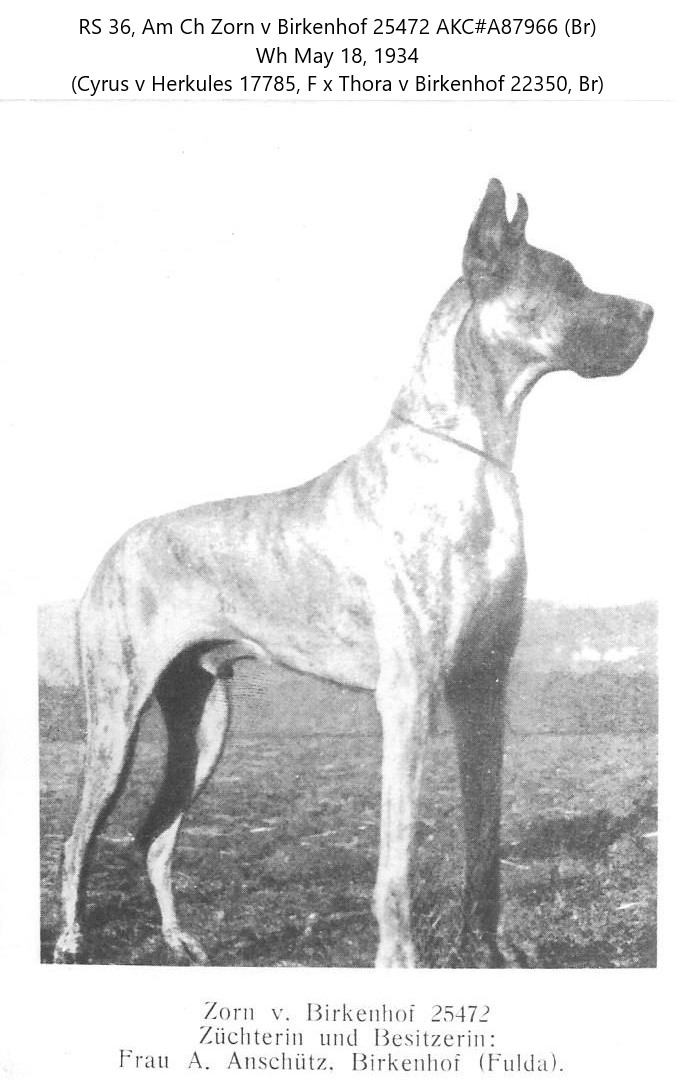 Zorn v Birkenhof